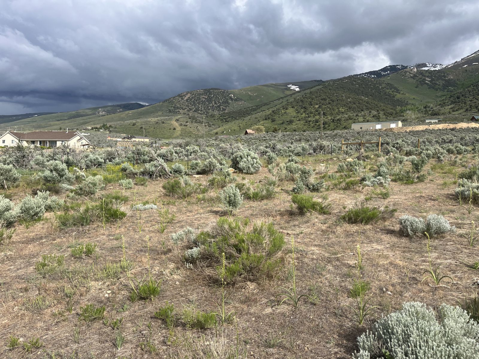Foothill Circle Lamoille, NV 89828 - Photo 5 of 5