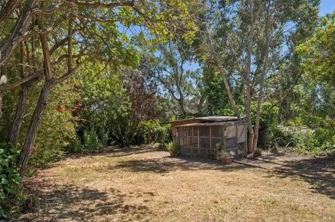 a view of outdoor space and yard