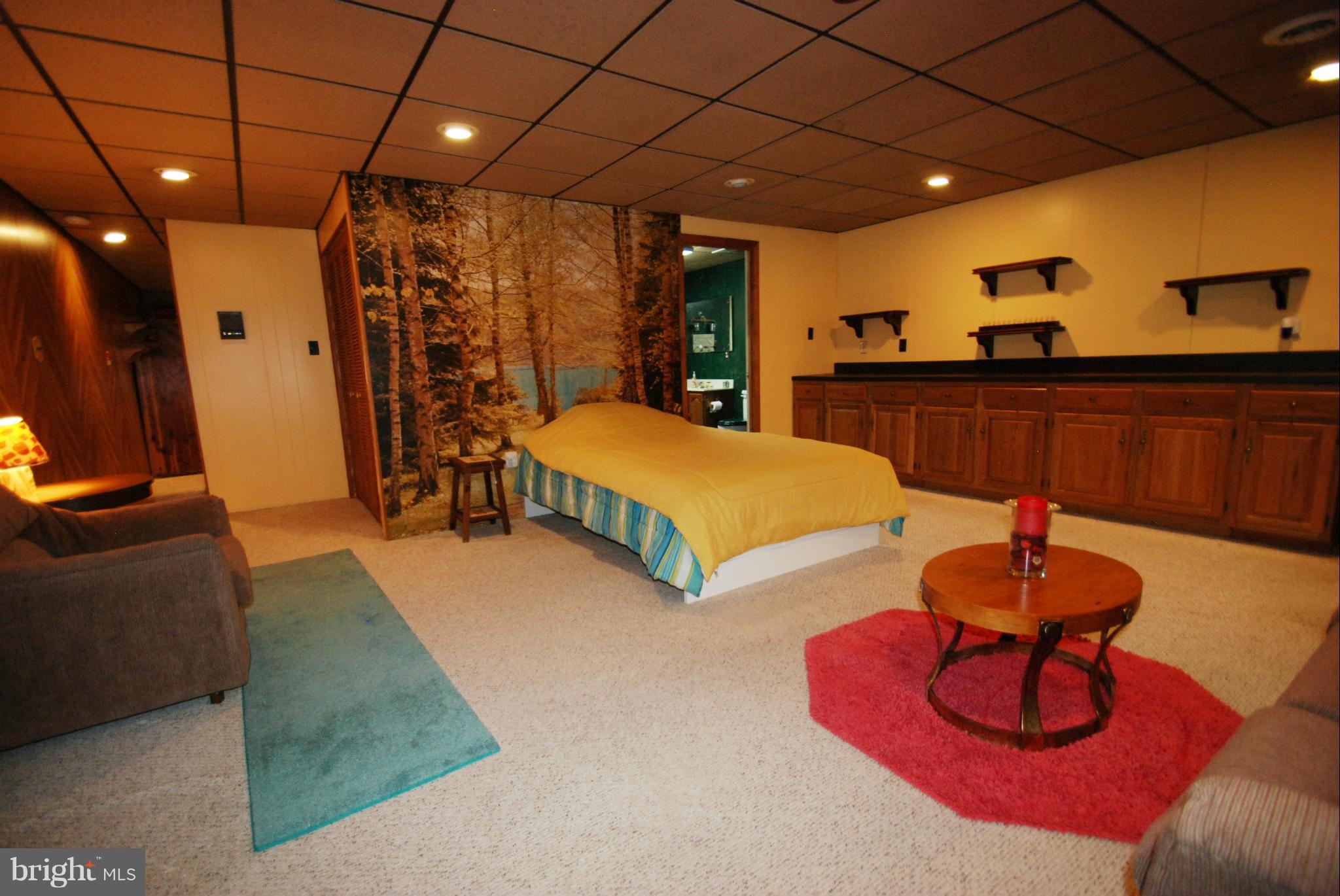12902 Golden Oak Drive Laurel, MD 20708 - Photo 24 of 30 Basement
