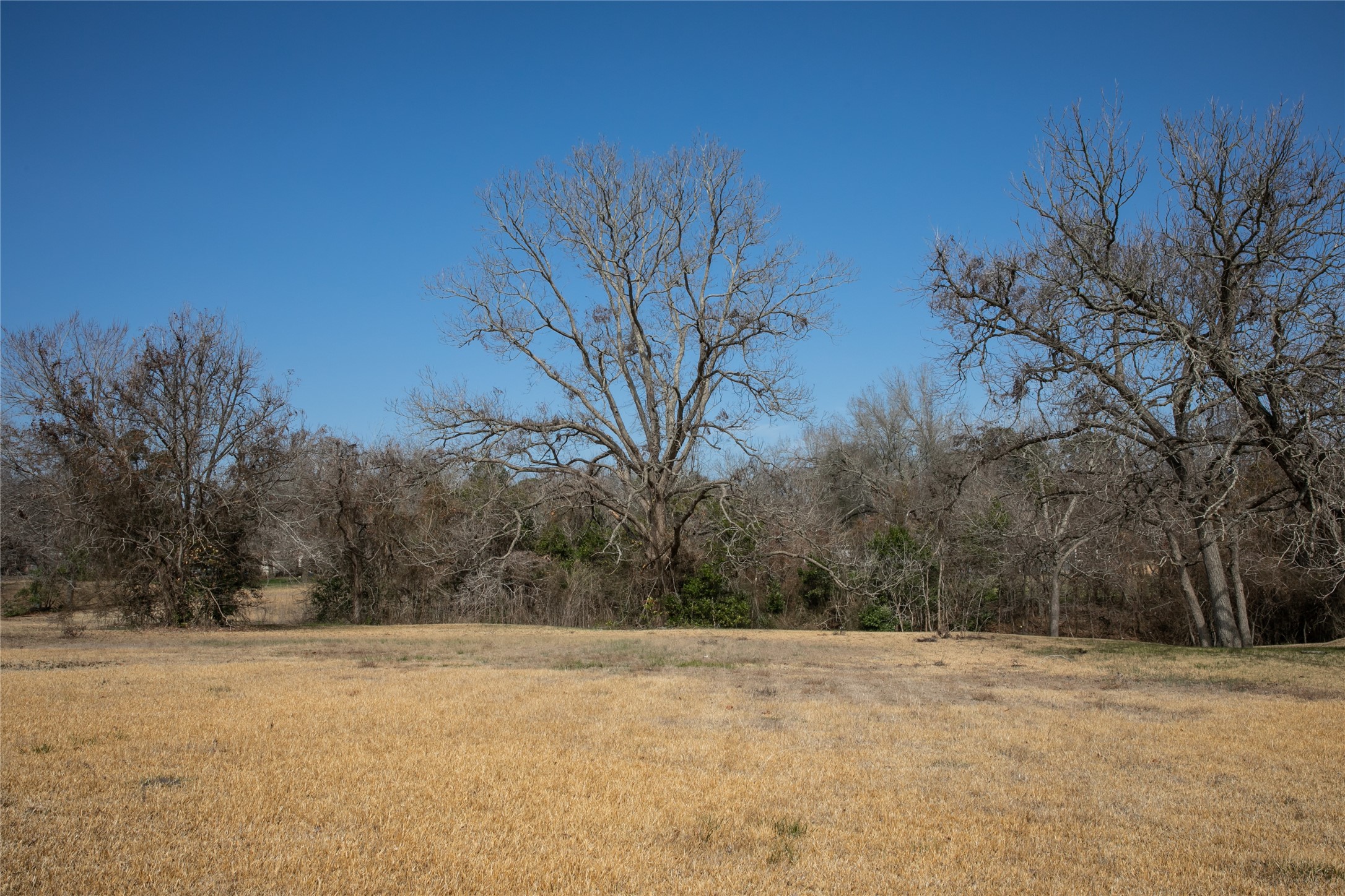 Tbd Sycamore Street Brenham, TX 77833 - Photo 2 of 4