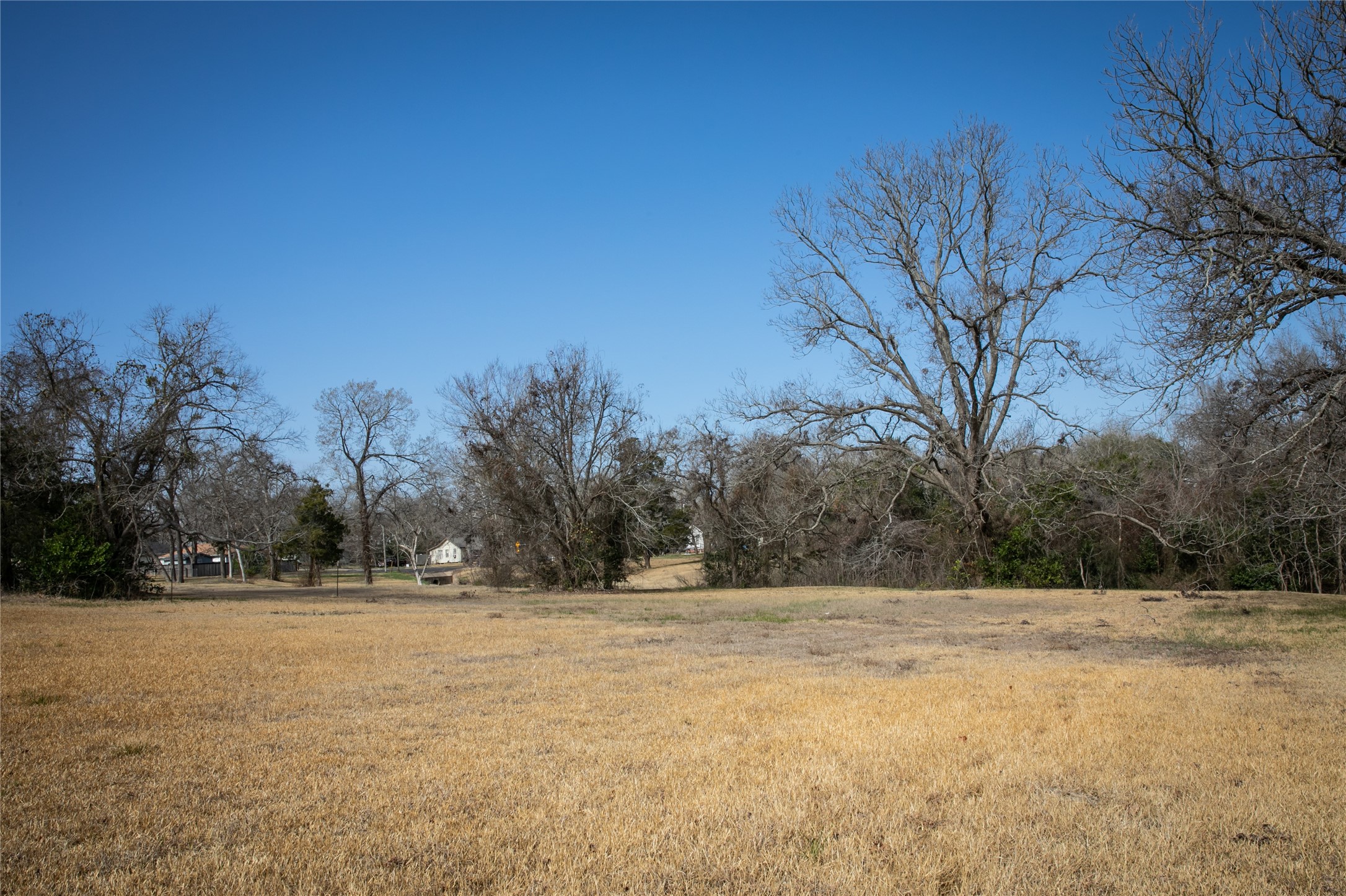 Tbd Sycamore Street Brenham, TX 77833 - Photo 3 of 4
