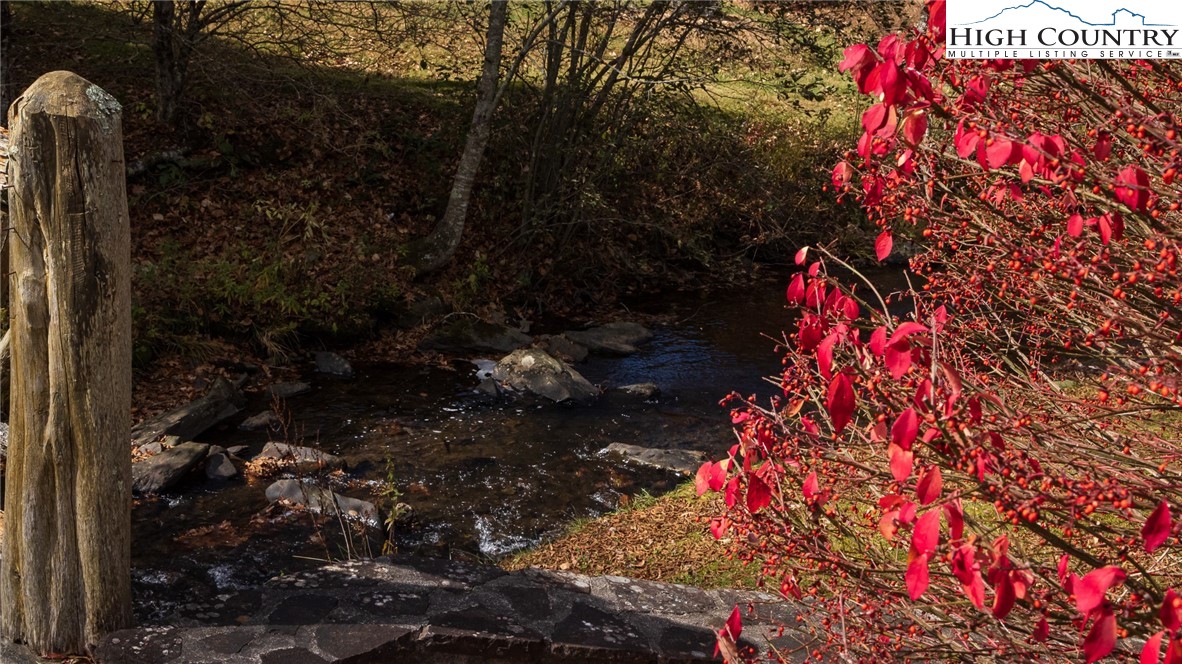 Tbd Lot 4 Tbd Lane Todd, NC 28684 - Photo 5 of 18