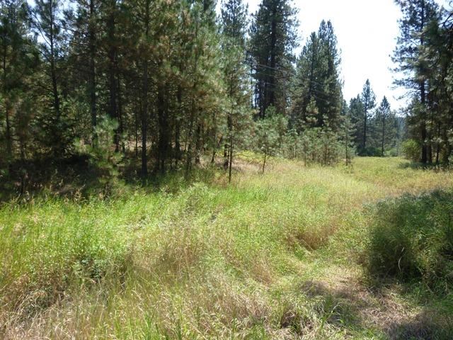 91-xx North Brooks Road Spokane, WA 99224 - Photo 1 of 7