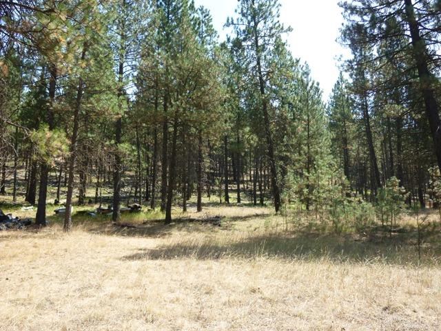 91-xx North Brooks Road Spokane, WA 99224 - Photo 2 of 7