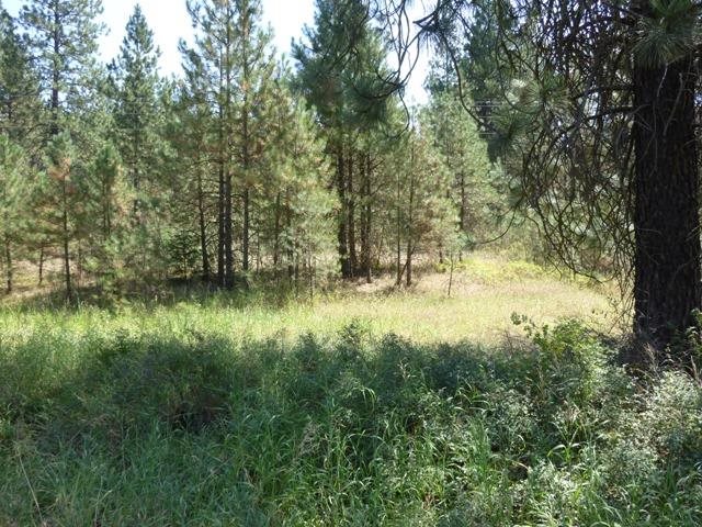 91-xx North Brooks Road Spokane, WA 99224 - Photo 3 of 7