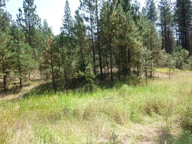 91-xx North Brooks Road Spokane, WA 99224 - Photo 4 of 7
