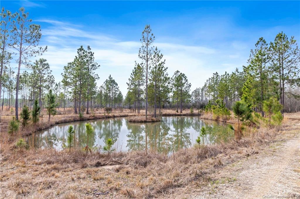 Conway Rosteet Road Ragley, LA 70657 - Photo 4 of 15 Gallery Image 4