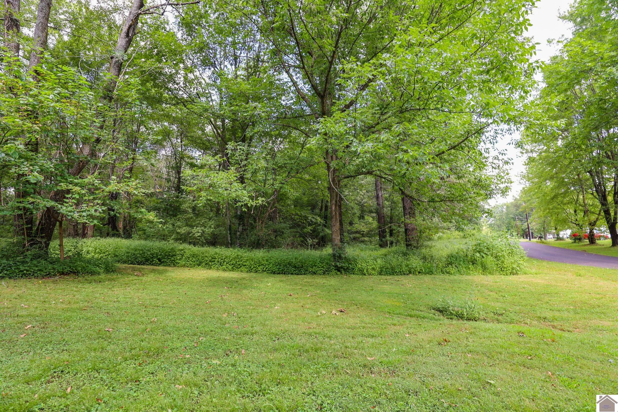 4110 Rogers Road, Unit 4155 ROGERS ROAD Kevil, KY 42053 - Photo 16 of 17 Photo 16