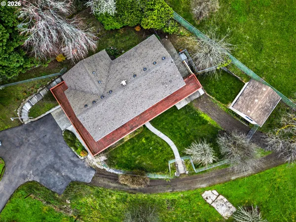 a view of a backyard with plants