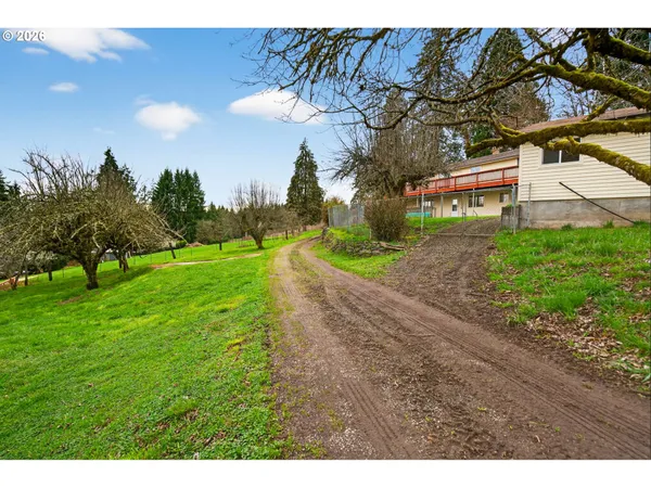 a view of a backyard