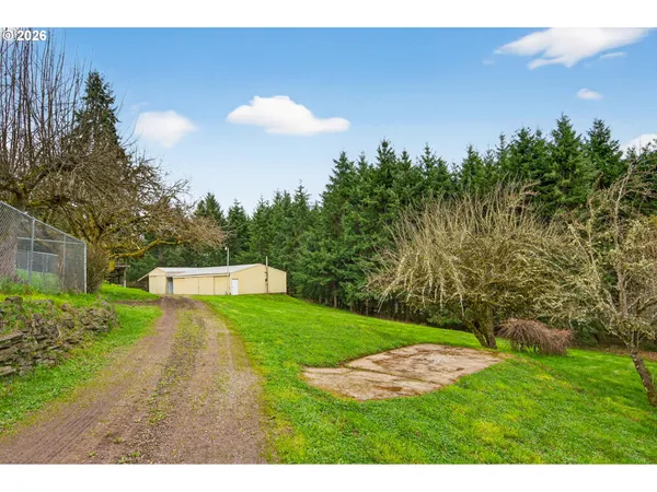 a view of a backyard