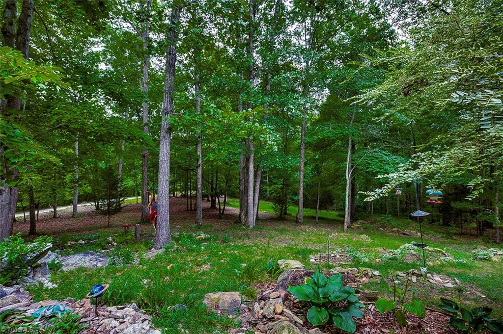 4045 Earnhardt Road Asheboro, NC 27205 - Photo 29 of 29 Front Yard