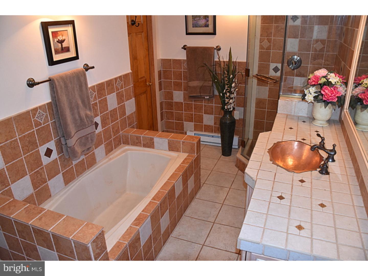 58 Bitting Road Alburtis, PA 18011 - Photo 21 of 25 Master Bathroom