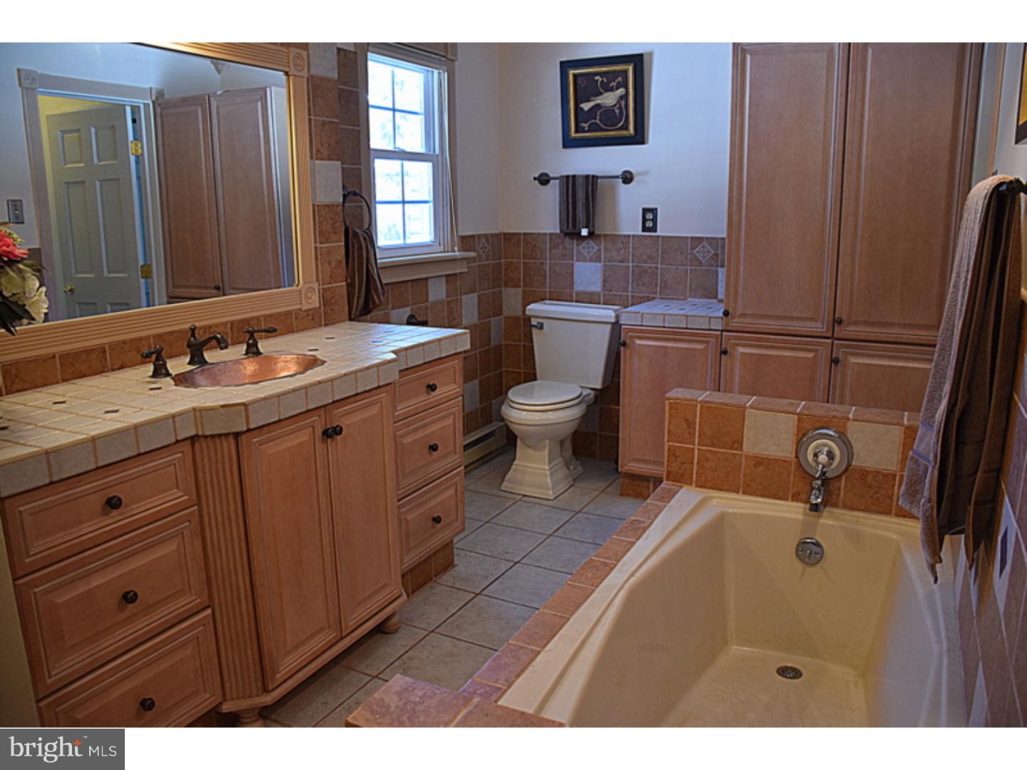 58 Bitting Road Alburtis, PA 18011 - Photo 22 of 25 Master Bathroom