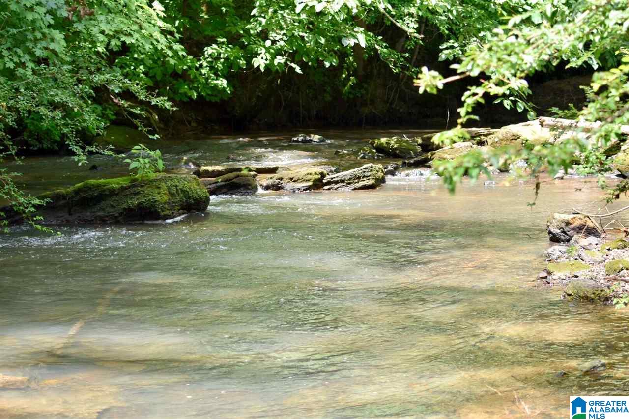 3330 Highway 174 Springville, AL 35146 - Photo 12 of 21