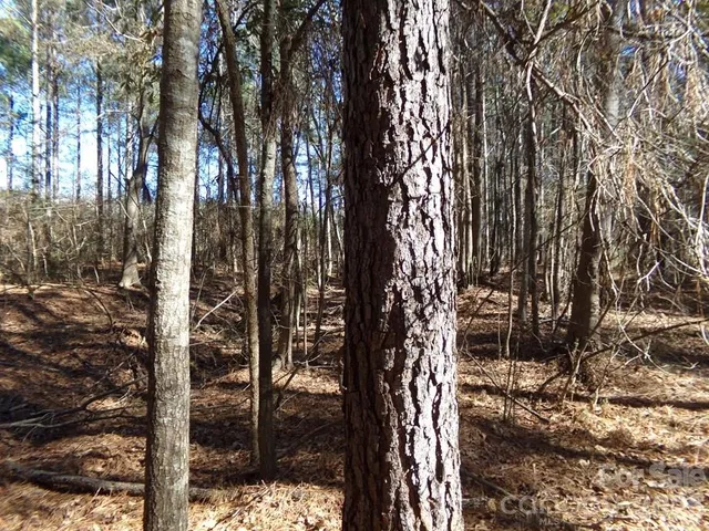 a view of outdoor space