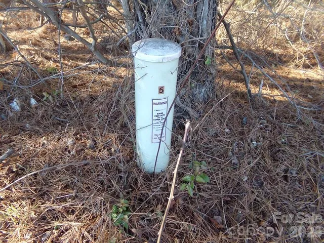 a view of a backyard of a house