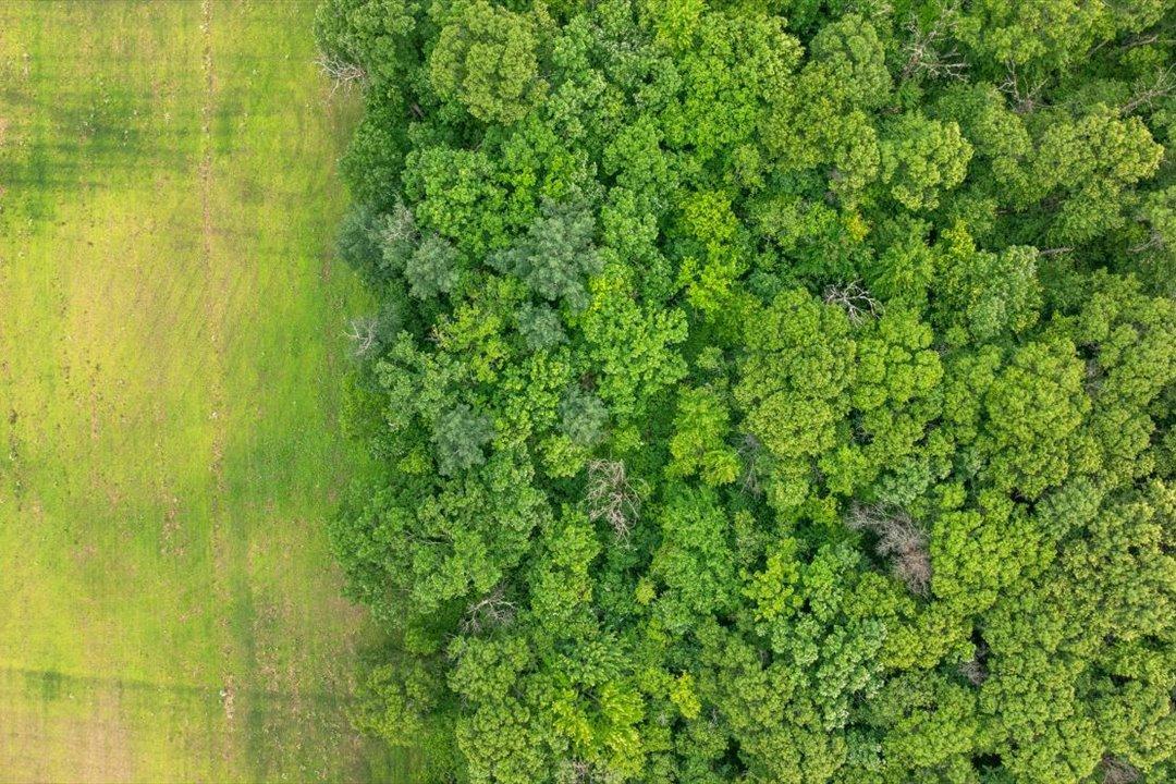 3387 Lawson Road Fort Ripley, MN 56449 - Photo 57 of 69