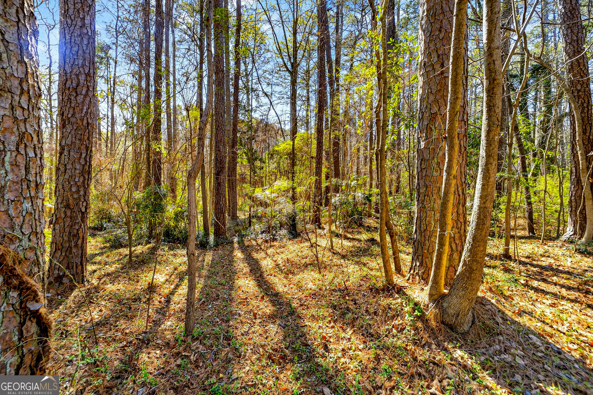 881 Rockbridge Road Southwest Lilburn, GA 30047 - Photo 41 of 44