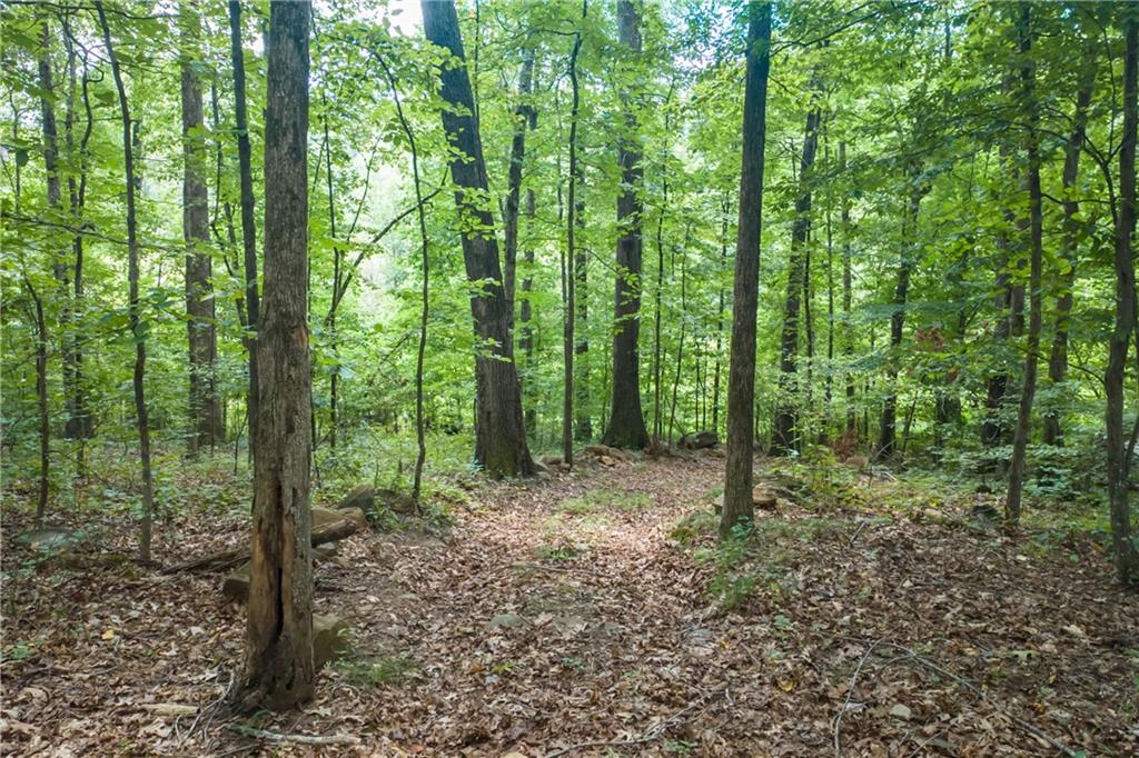 1345 Chandler Road Lawrenceville, GA 30045 - Photo 85 of 97