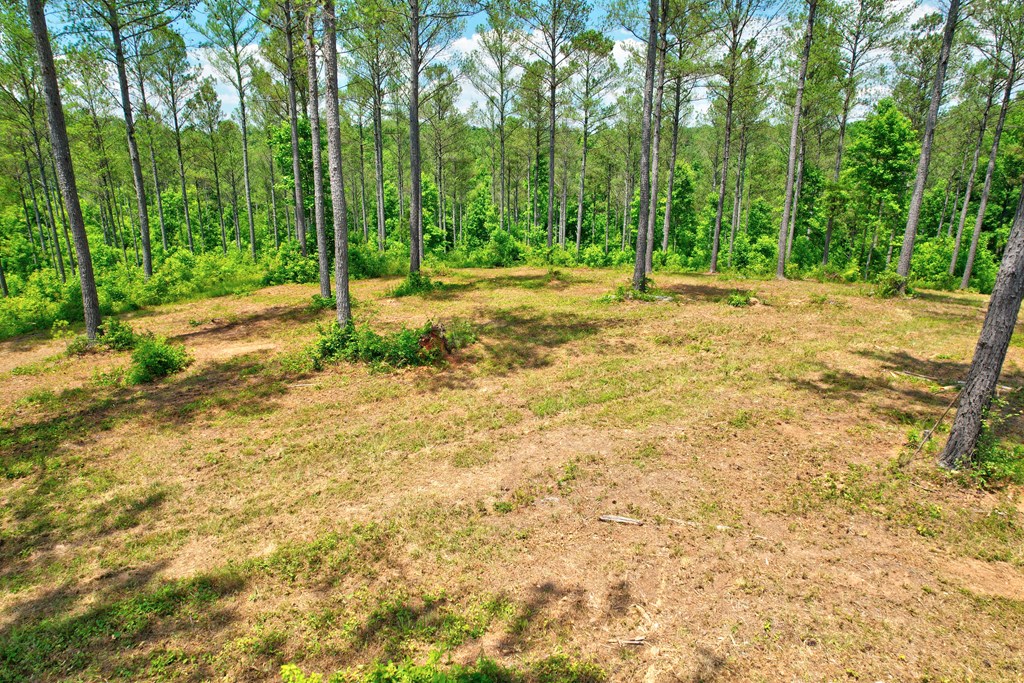 Lot 10 High River Road Ellijay, GA 30540 - Photo 26 of 31 Gallery Image 26