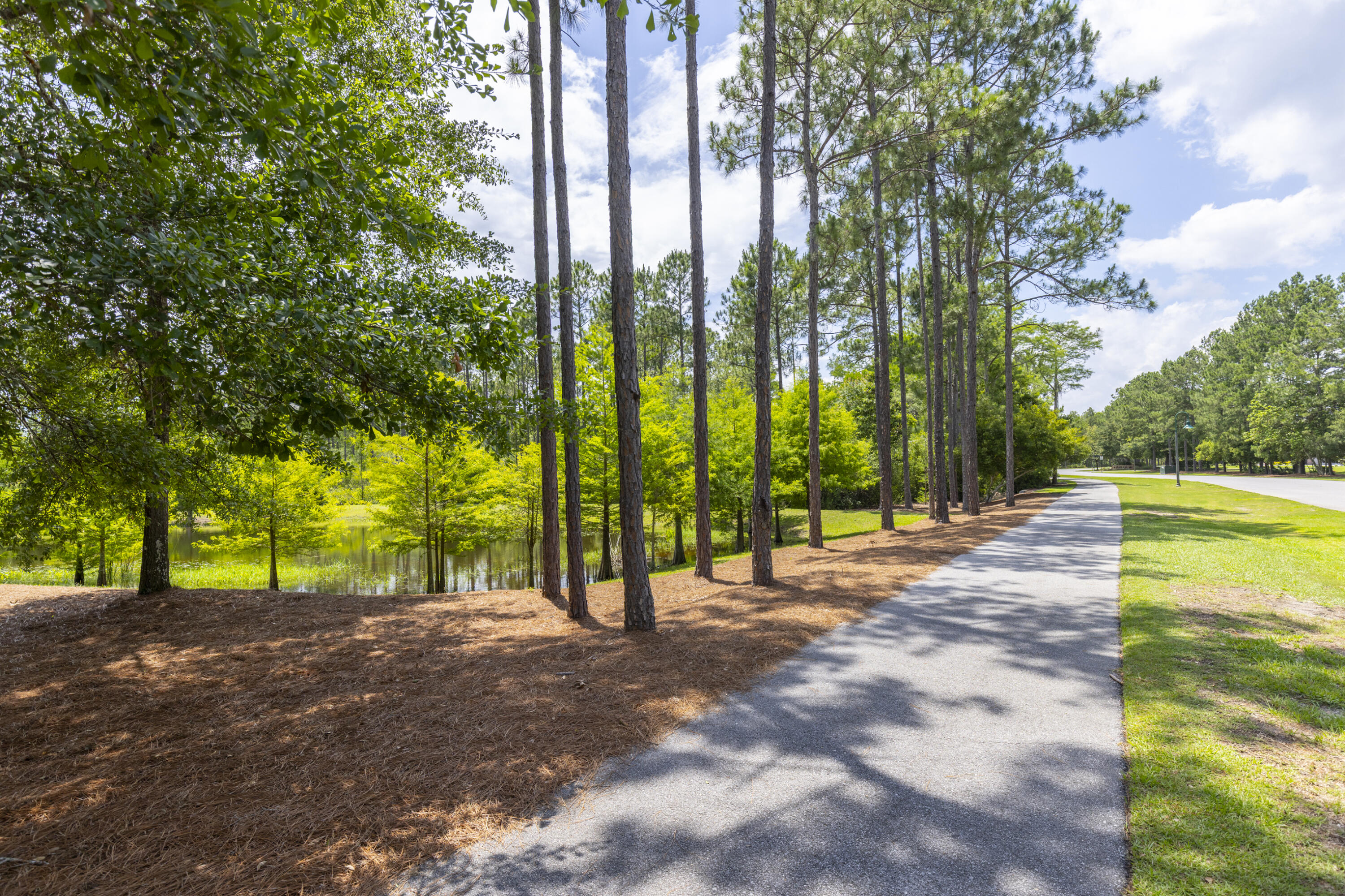 236 Revana Way Freeport, FL 32439 - Photo 71 of 96 Miles of Nature Trails & Bike Paths