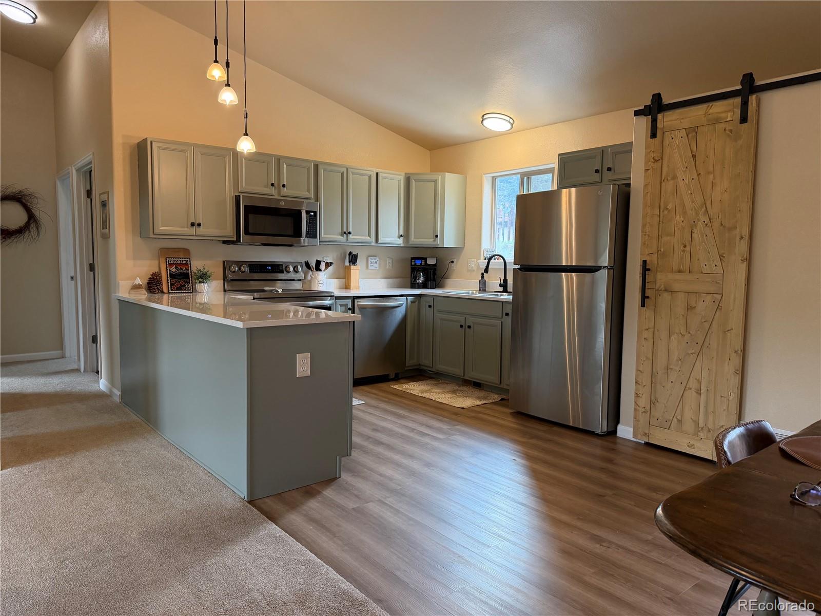 303 Virginia Road, Unit E Bailey, CO 80421 - Photo 3 of 27