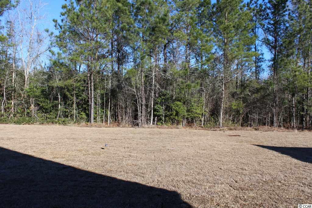 5235 Huston Road Conway, SC 29526 - Photo 23 of 32 Gallery Image 23