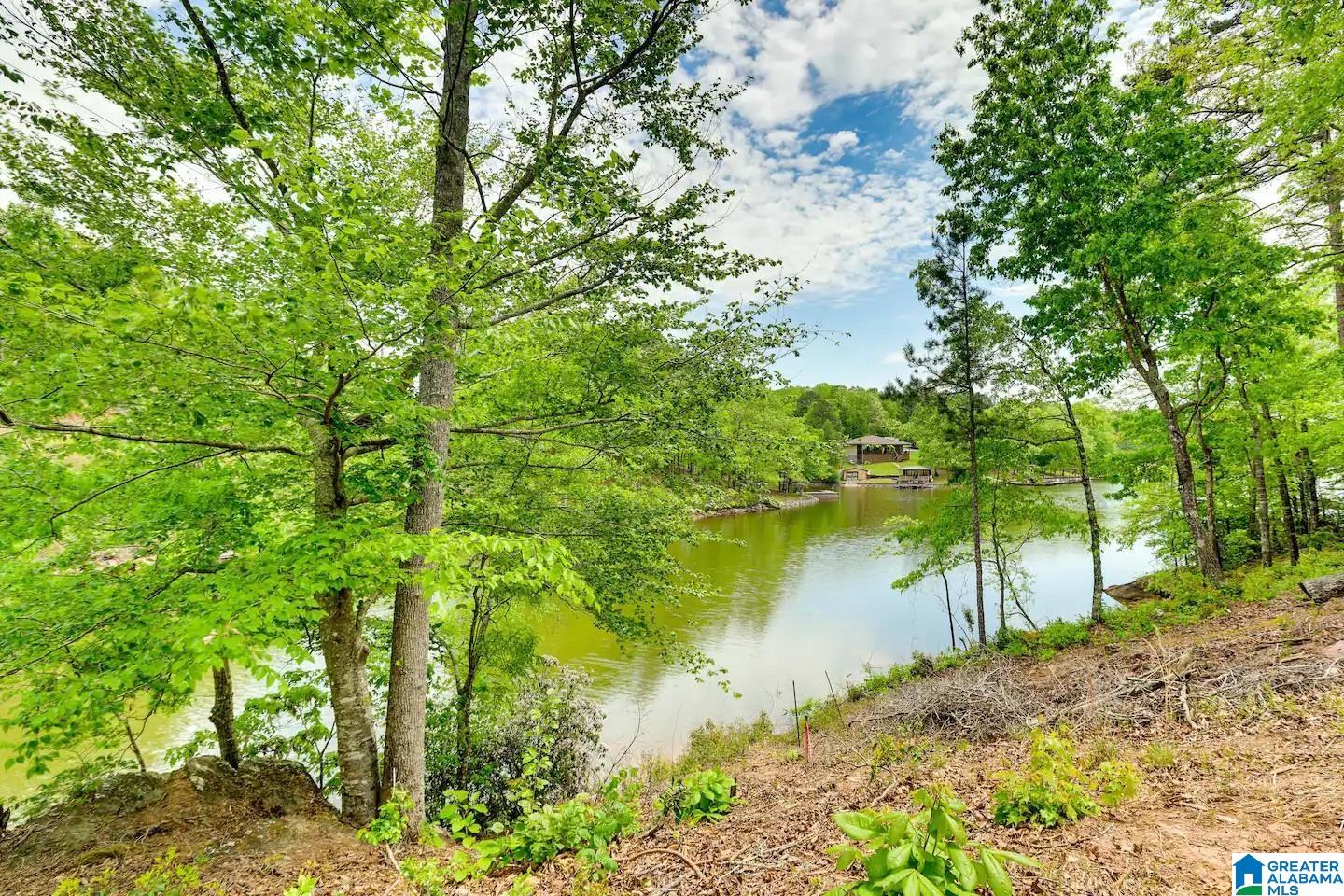 421 Point View Roanoke, AL 36274 - Photo 44 of 45