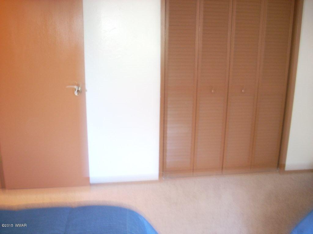 2963 Hunters Road Overgaard, AZ 85933 - Photo 19 of 19 a view of an empty room