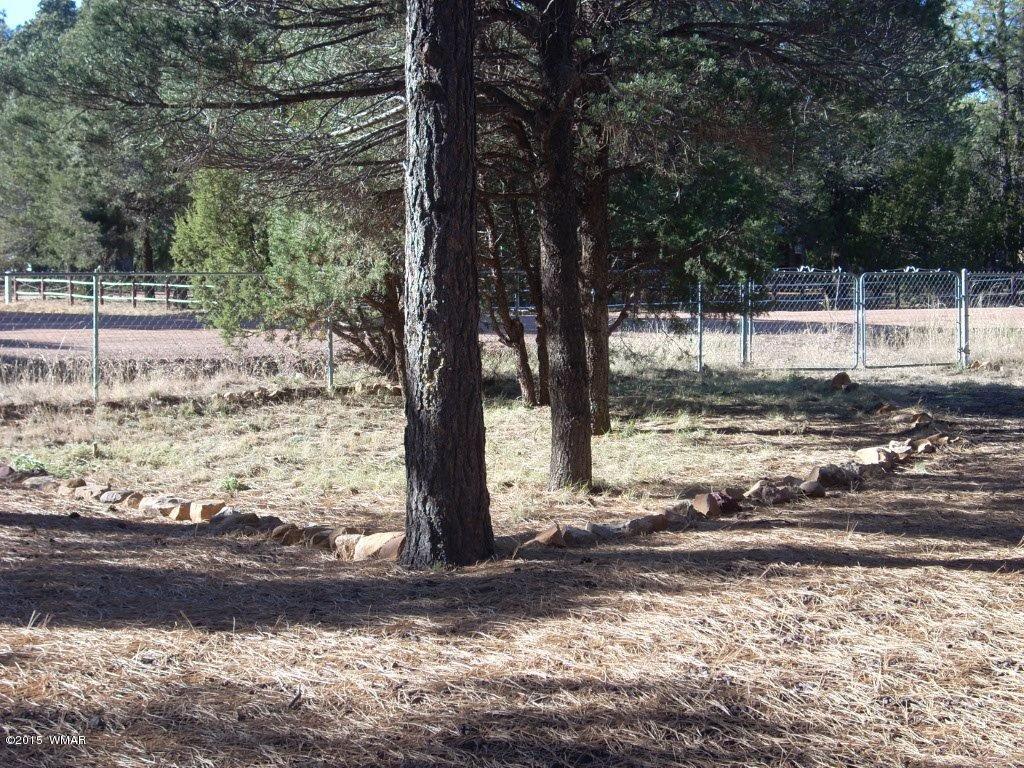 2963 Hunters Road Overgaard, AZ 85933 - Photo 3 of 19 a view of a yard with large trees
