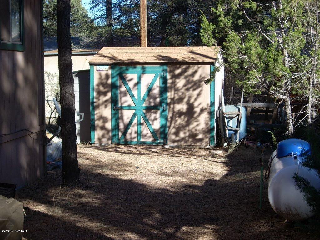 2963 Hunters Road Overgaard, AZ 85933 - Photo 4 of 19 a view of outdoor space and patio