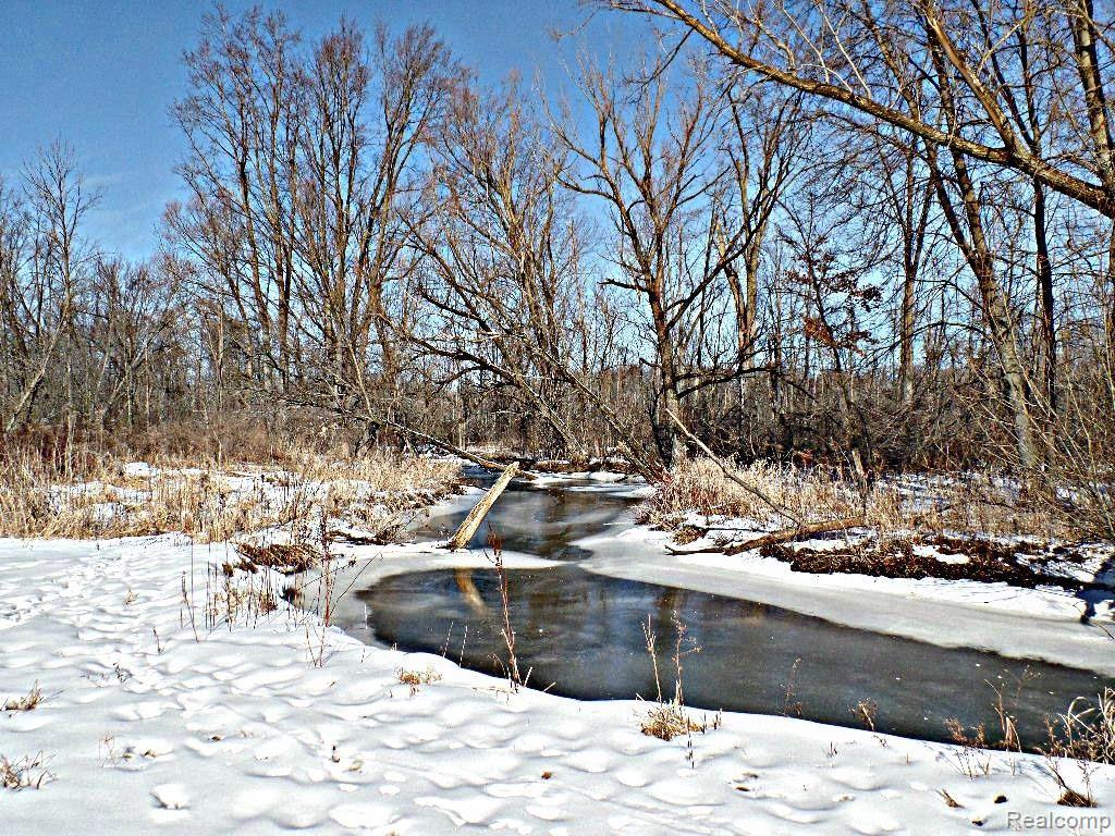 10345 South State Road Goodrich, MI 48438 - Photo 7 of 24 SAM_2080.jpg