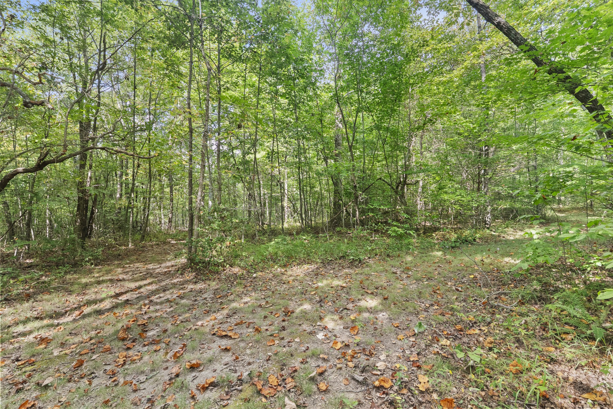 625 Meadows Road Sparta, TN 38583 - Photo 43 of 87 Gallery Image 43