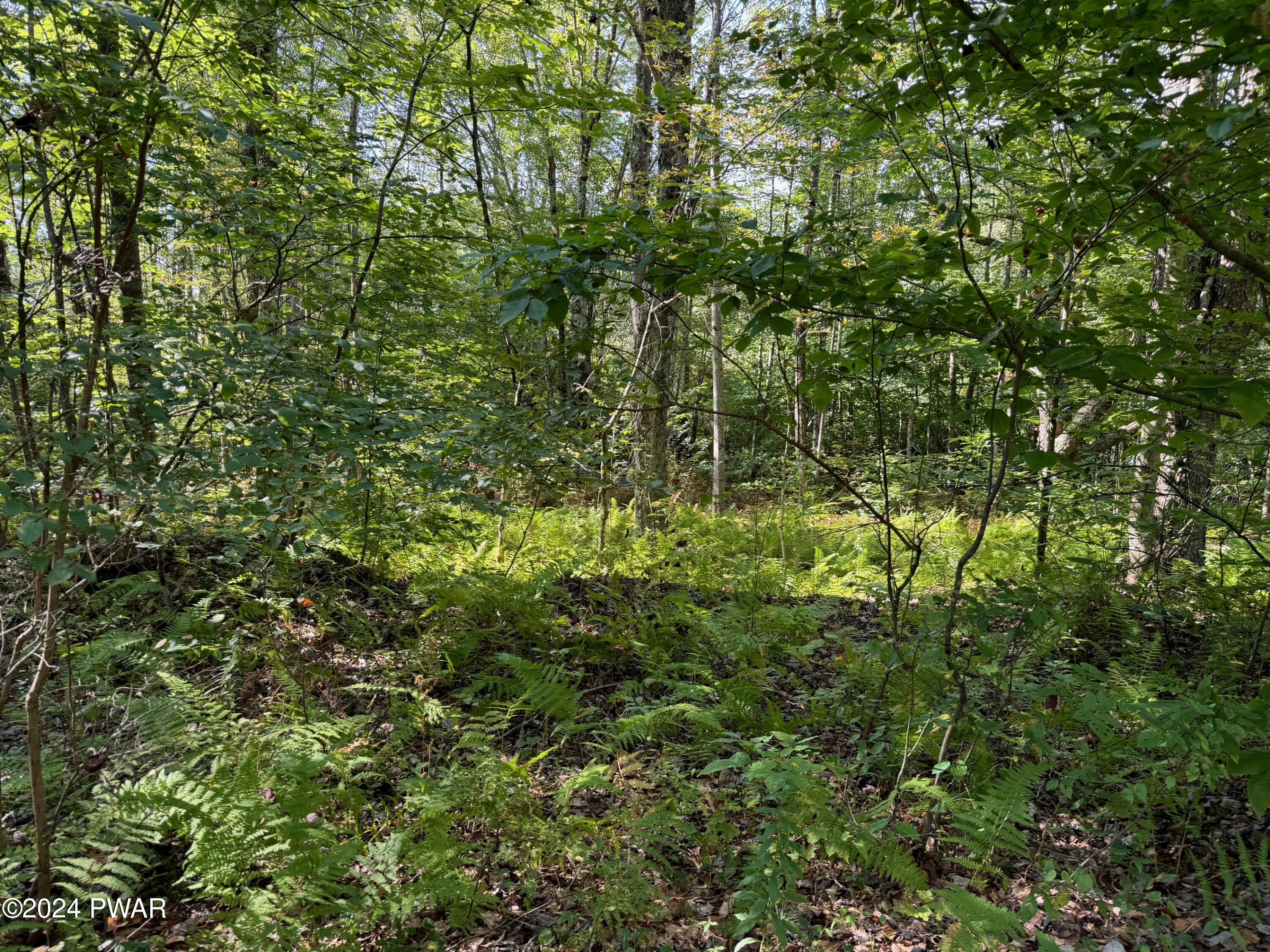 496 Egypt Road Honesdale, PA 18431 - Photo 10 of 13