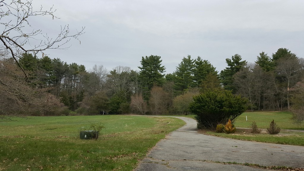 770 Chestnut Street Needham, MA 02492 - Photo 6 of 8 a view of a park
