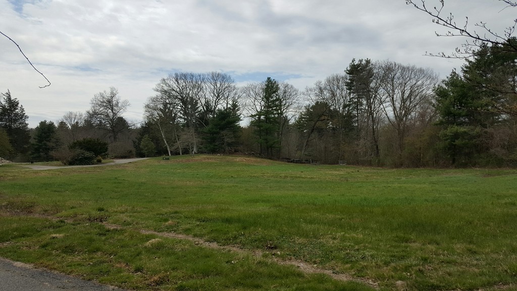 770 Chestnut Street Needham, MA 02492 - Photo 7 of 8 a view of a field of grass and trees