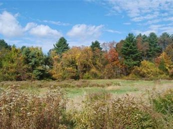 770 Chestnut Street Needham, MA 02492 - Photo 8 of 8 a view of a field with trees in background