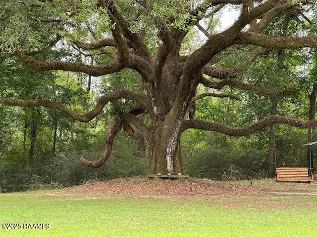 $1,150,000 | 10427 Highway 167, Abbeville, LA 70510