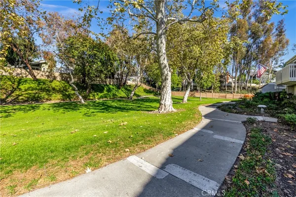 a view of a park with plants and trees