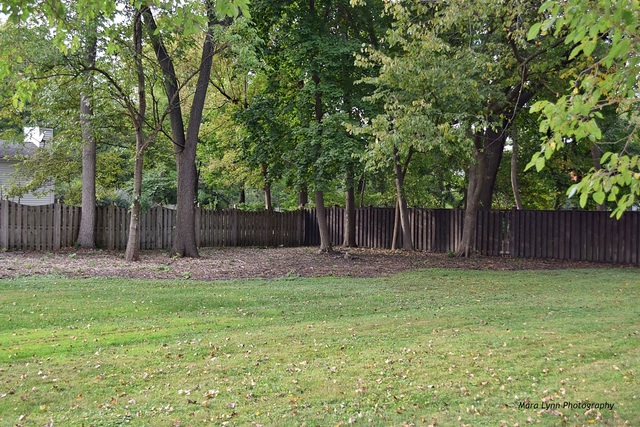 617 Peck Road Geneva, IL 60134 - Photo 5 of 9