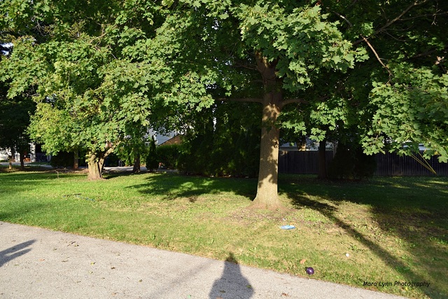 617 Peck Road Geneva, IL 60134 - Photo 8 of 9
