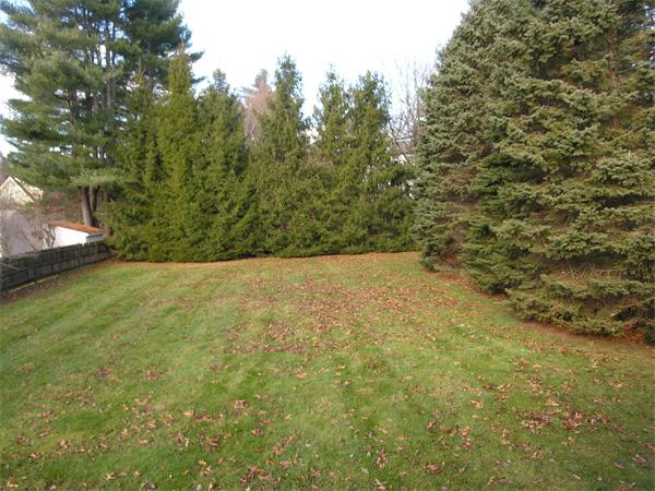 49 Eliot Road Needham, MA 02494 - Photo 3 of 20