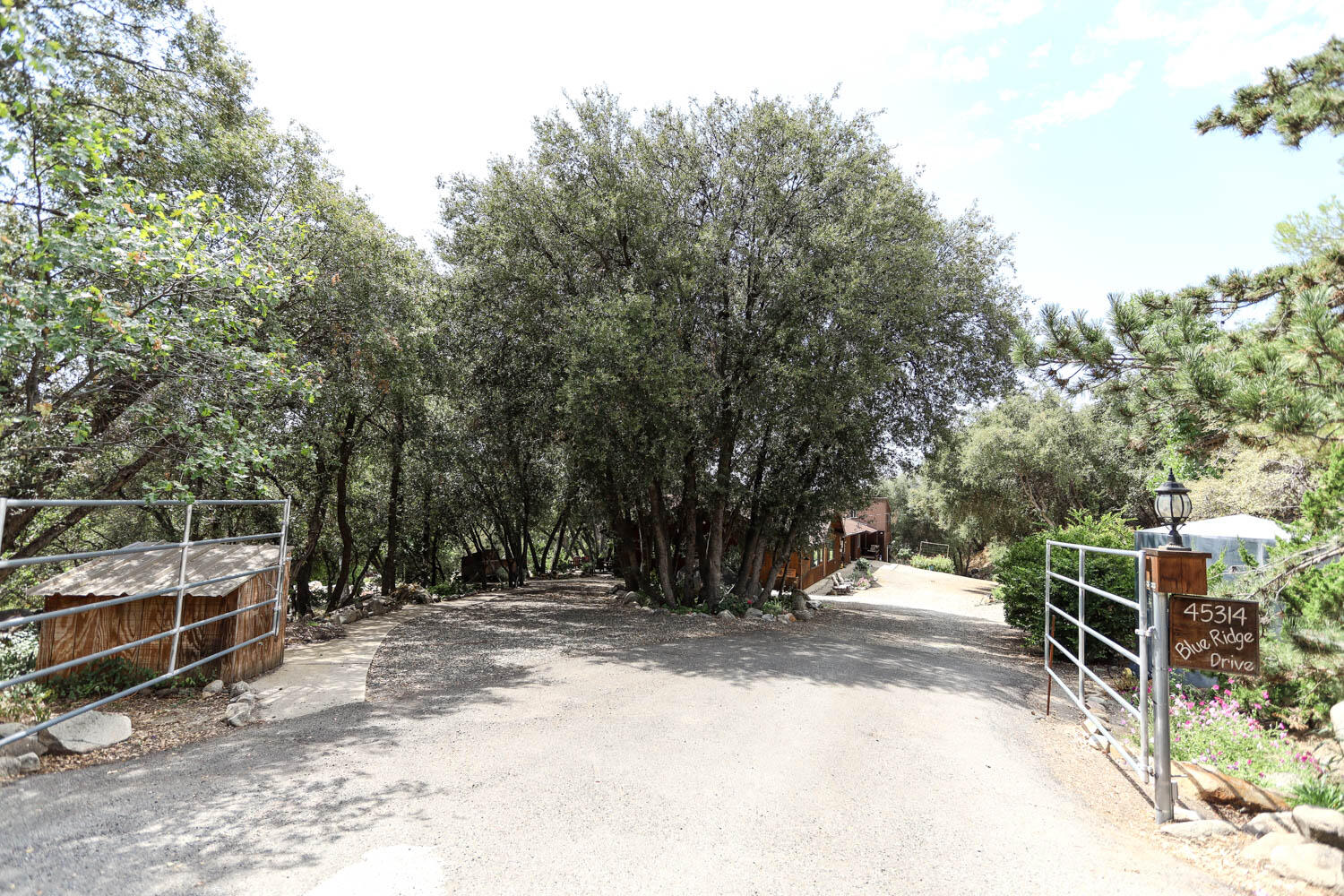 45314 Blue Ridge Drive Springville, CA 93265 - Photo 19 of 111 IMG_4811