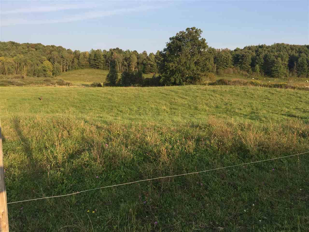 159 Kahn Road Fort Plain, NY 13339 - Photo 3 of 3 Photo 3