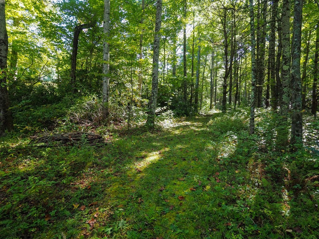 523 State Shed Road, Unit 102 Meadows Of Dan, VA 24120 - Photo 12 of 15 Gallery Image 12
