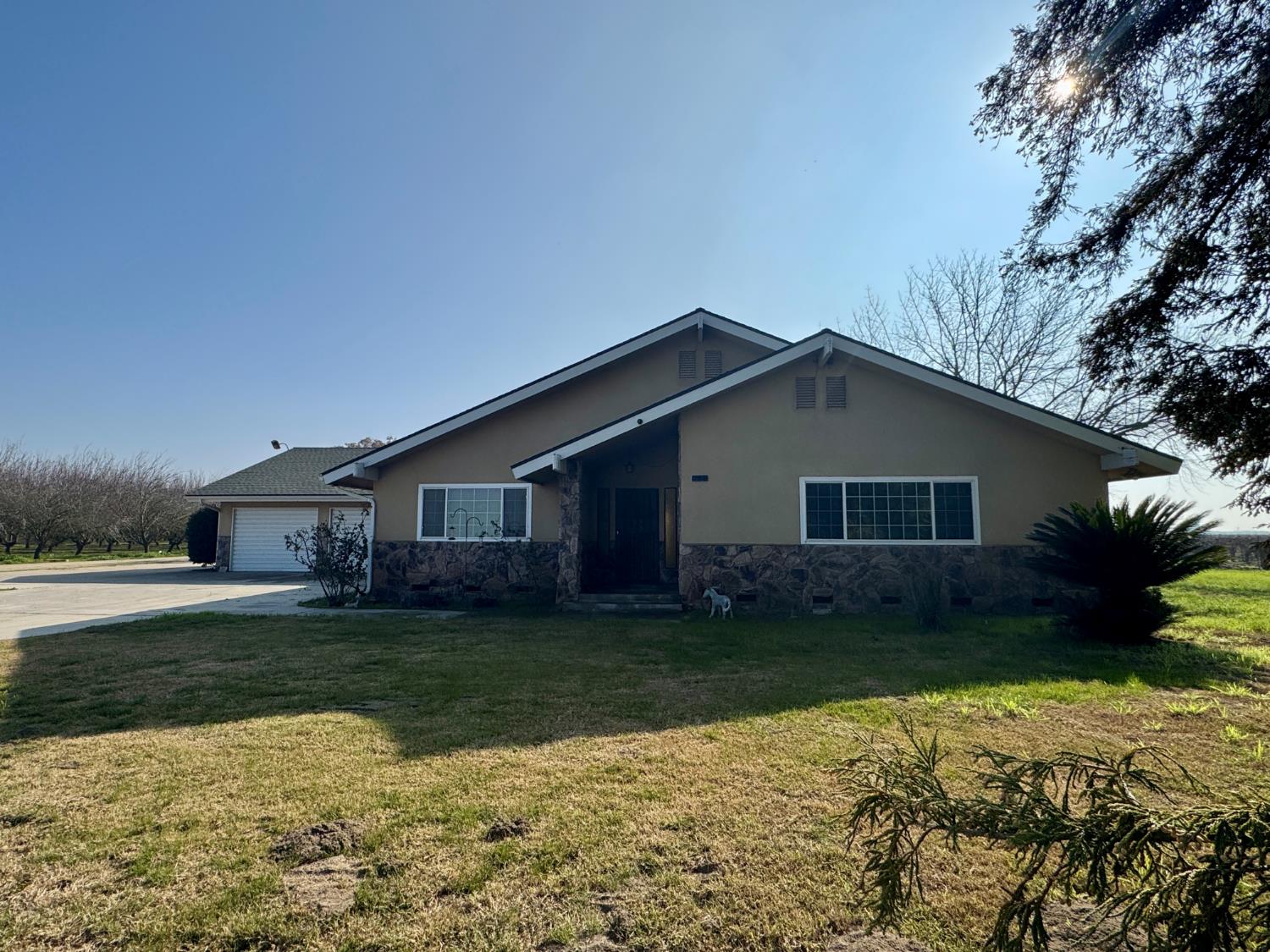 17617 West Belmont Avenue Kerman, CA 93630 - Photo 3 of 25 a house that is sitting in the grass with large trees