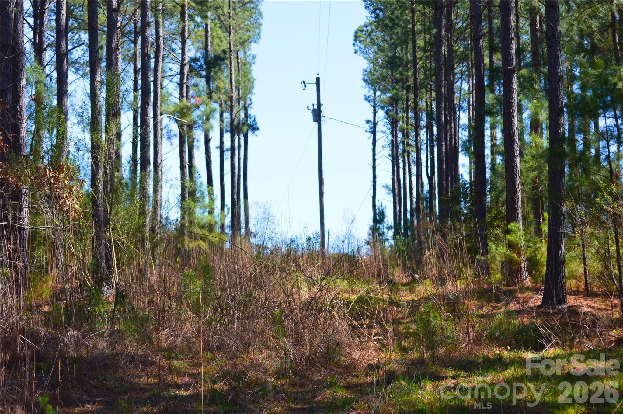 0 Bobby Faucette Road, Unit 4 Jonesville, SC 29353 - Photo 12 of 18