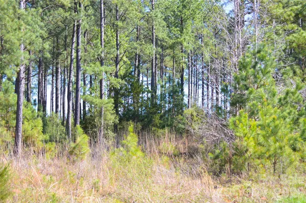 $85,000 | 0 Bobby Faucette Road, Unit 4, Jonesville, SC 29353