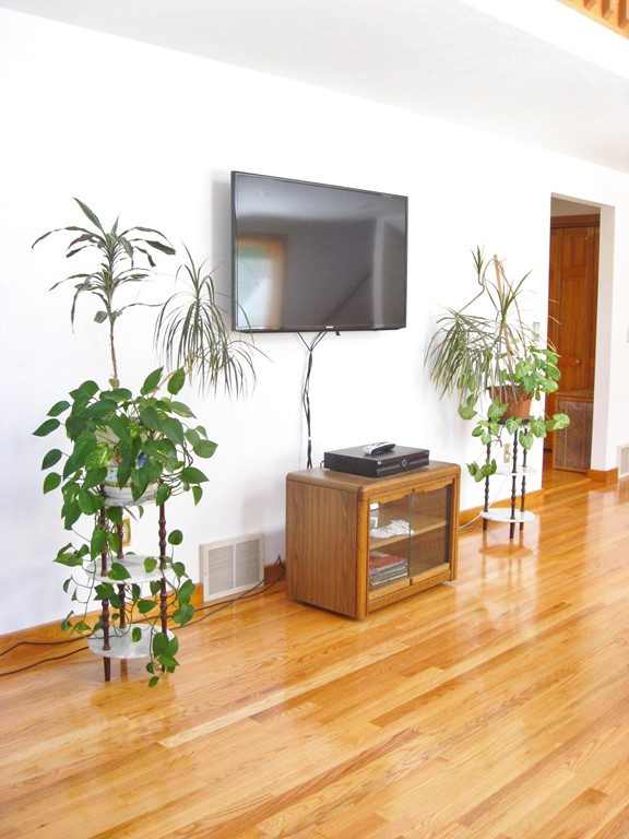 260 Hadley Road Sunderland, MA 01375 - Photo 11 of 30 Gallery Image 11